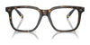 Polo PH2269F Eyeglasses | Size 53 / Shiny Dark Havana №5003