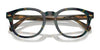 Polo PH2272 Eyeglasses / Shiny Transparent Navy Blue №5470 / Size 50