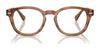 Polo PH2272F Eyeglasses | Size 49 / Shiny Light Brown Striped №6138