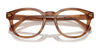 Polo PH2272F Eyeglasses | Size 49 / Shiny Light Brown Striped №6138