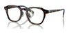 Polo PH2278D Eyeglasses | Size 49 / Shiny Havana №5003