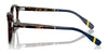 Polo PH2278D Eyeglasses | Size 49 / Shiny Havana №5003