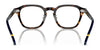 Polo PH2278D Eyeglasses | Size 49 / Shiny Havana №5003