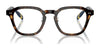 Polo PH2278D Eyeglasses | Size 49 / Shiny Havana №5003