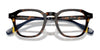Polo PH2278D Eyeglasses | Size 49 / Shiny Havana №5003