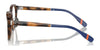 Polo PH2278D Eyeglasses | Size 49 / Shiny Havana №5003