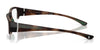 Polo PH2279U Eyeglasses / Matte Dark Havana №6070 / Size 55