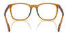 Polo PH2281U Eyeglasses / Shiny Black №5001 / Size 52