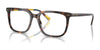 Polo PH2284 Eyeglasses / Shiny Dark Havana №6212 / Size 53