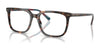 Polo PH2284 Eyeglasses / Shiny Dark Havana №6213 / Size 53