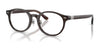 Polo PH2289D Eyeglasses | Size 51 / Shiny Transparent Brown №6282