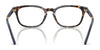 Polo PH2294 Eyeglasses / Shiny Striped Green №6316 / Size 51