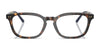 Polo PH2294 Eyeglasses / Shiny Striped Green №6316 / Size 51