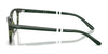 Polo PH2294 Eyeglasses / Shiny Striped Green №6316 / Size 51
