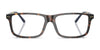 Polo PH2296 Eyeglasses / Shiny Dark Havana №5003 / Size 55