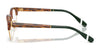 Polo PH2298D Eyeglasses | Size 51 / Shiny Black №5001