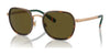 Polo PH3151 Sunglasses | Size 54 / Havana/Antique Gold / Olive Green (3N 12.8%) №944973