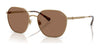 Polo PH3160 Sunglasses | Size 56 / Semishiny Antique Gold / Dark Brown (3N 13.3%) №944973