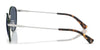 Polo PH3163 Sunglasses | Size 53 / Semishiny Gunmetal / Bottle Green (3N 9.7%) №926671