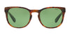 Polo PH4099 Sunglasses | Size 52 / Shiny Jerry Havana №56742 / Vintage Green (2N 36.6%)