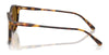 Polo PH4110 Sunglasses | Size 50 / Havana / Brown (3N 14.5%) №513473