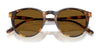 Polo PH4110 Sunglasses | Size 50 / Havana / Brown (3N 14.5%) №513473