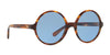 Polo PH4136 Sunglasses | Size 55 / Shiny Striped Havana №500772 / Light Blue (2N 37.4%)