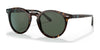 Polo PH4151 Sunglasses | Size 50 / Shiny Dark Havana / Green (3N 14.0%) №567371
