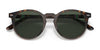 Polo PH4151 Sunglasses | Size 50 / Shiny Dark Havana / Green (3N 14.0%) №567371