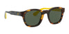 Polo PH4159 Sunglasses | Size 49 / Shiny New Jerry Tortoise №535171 / Green (3N 14%)