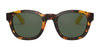 Polo PH4159 Sunglasses | Size 49 / Shiny New Jerry Tortoise №535171 / Green (3N 14%)