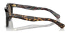Polo PH4165 Sunglasses | Size 46 / Shiny Dark Havana №500373 / Brown (3N 14.5%)