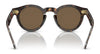 Polo PH4165 Sunglasses | Size 46 / Shiny Dark Havana №500373 / Brown (3N 14.5%)