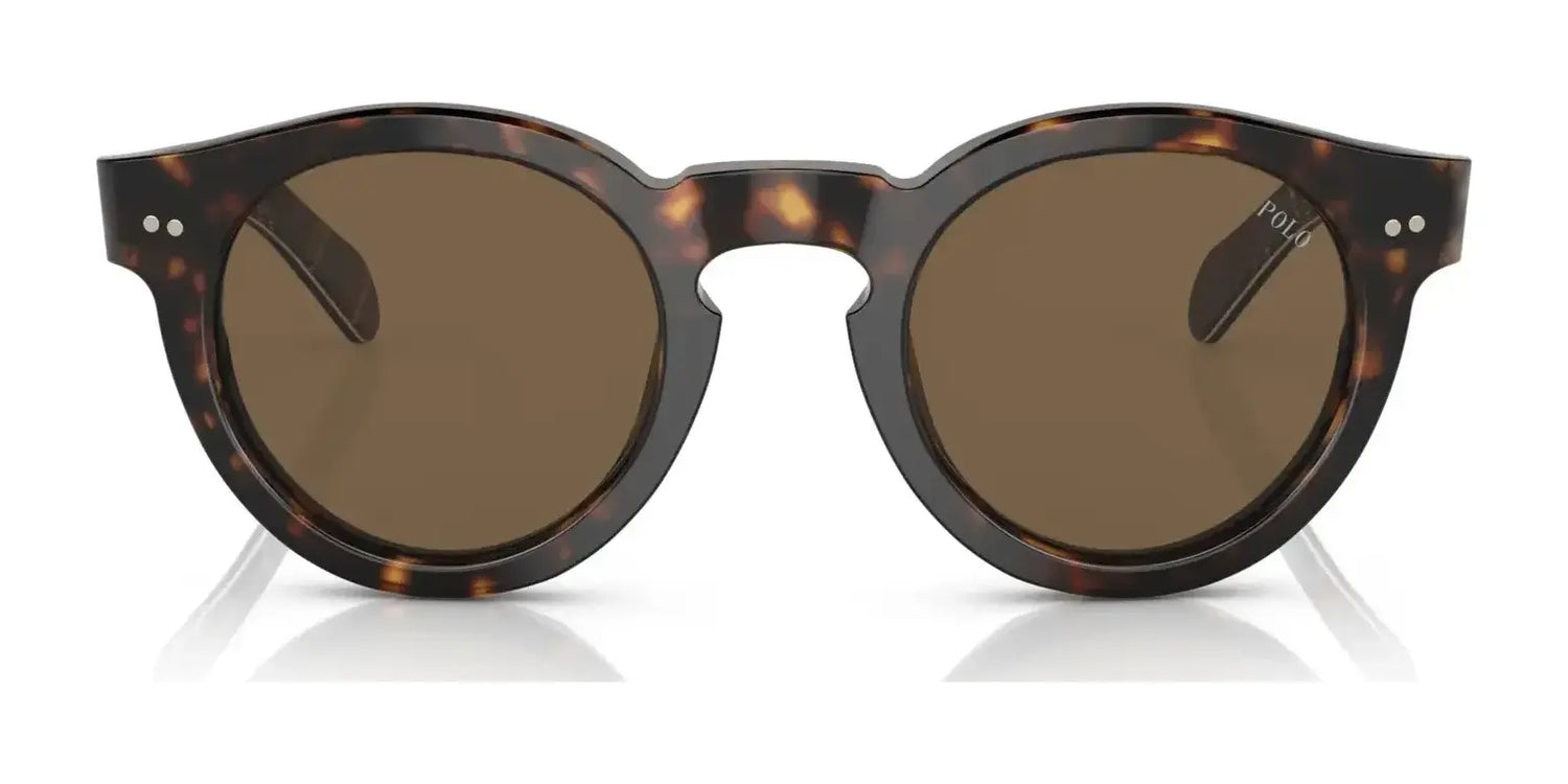 Polo PH4165 Sunglasses | Size 46 Polo PH4165 Sunglasses | Size 46
