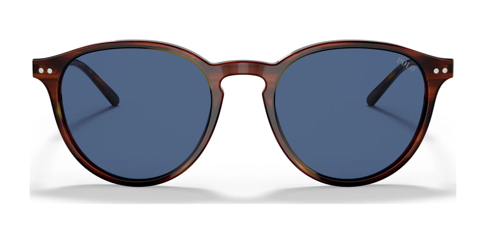 Polo PH4169 Sunglasses | Size 51 Polo PH4169 Sunglasses | Size 51