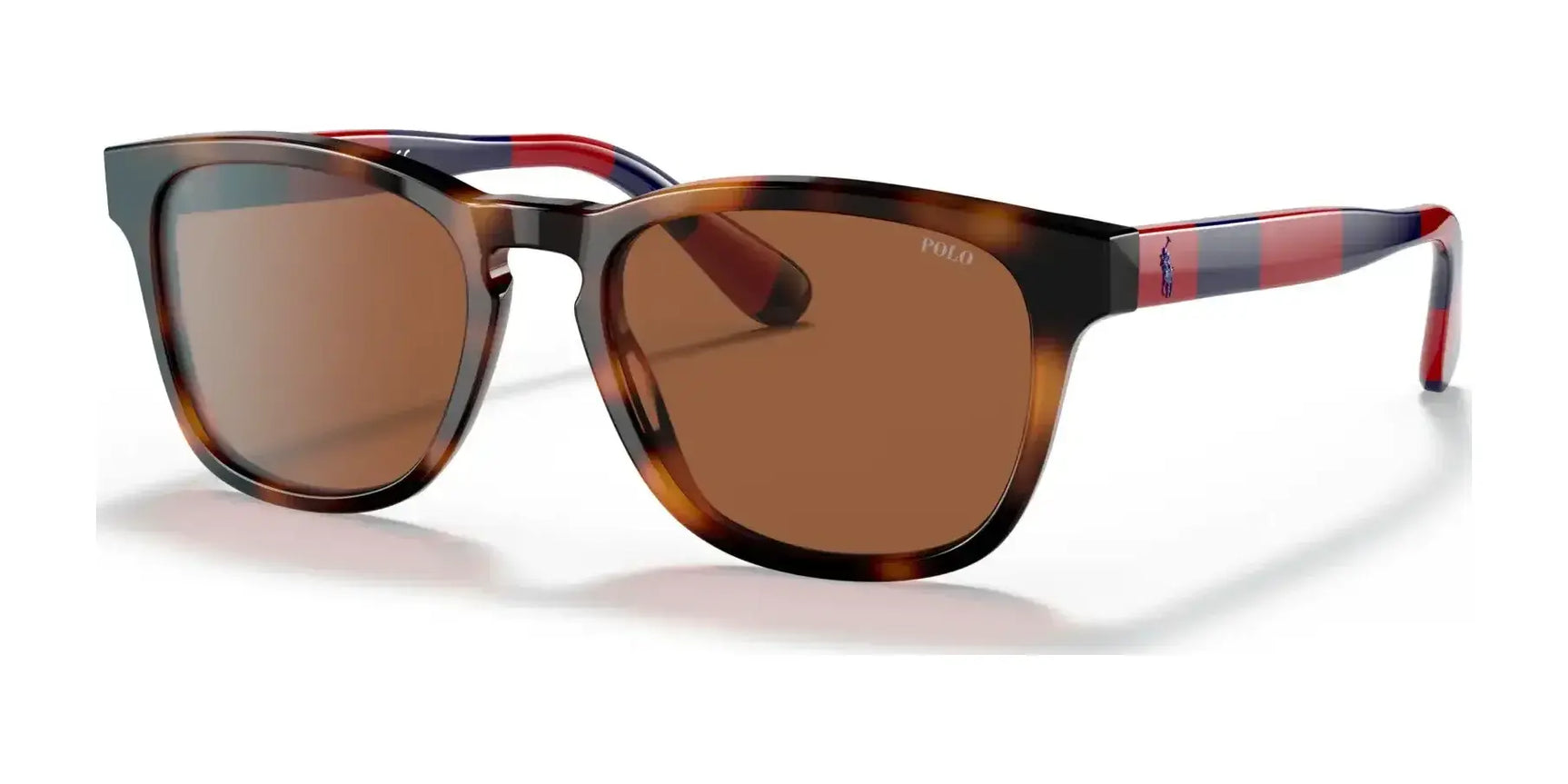 Polo PH4170 Sunglasses Shiny Jc Tortoise / Brown Polo PH4170 Sunglasses Shiny Jc Tortoise / Brown
