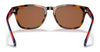 Polo PH4170 Sunglasses | Size 53 / Shiny Jc Tortoise / Brown (3N 15.3%) №530373