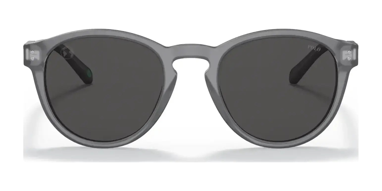 Polo PH4172 Sunglasses | Size 50 Polo PH4172 Sunglasses | Size 50