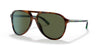 Polo PH4173 Sunglasses | Size 59 / Shiny Jerry Havana №501771 / Bottle Green (3N 9.4%)