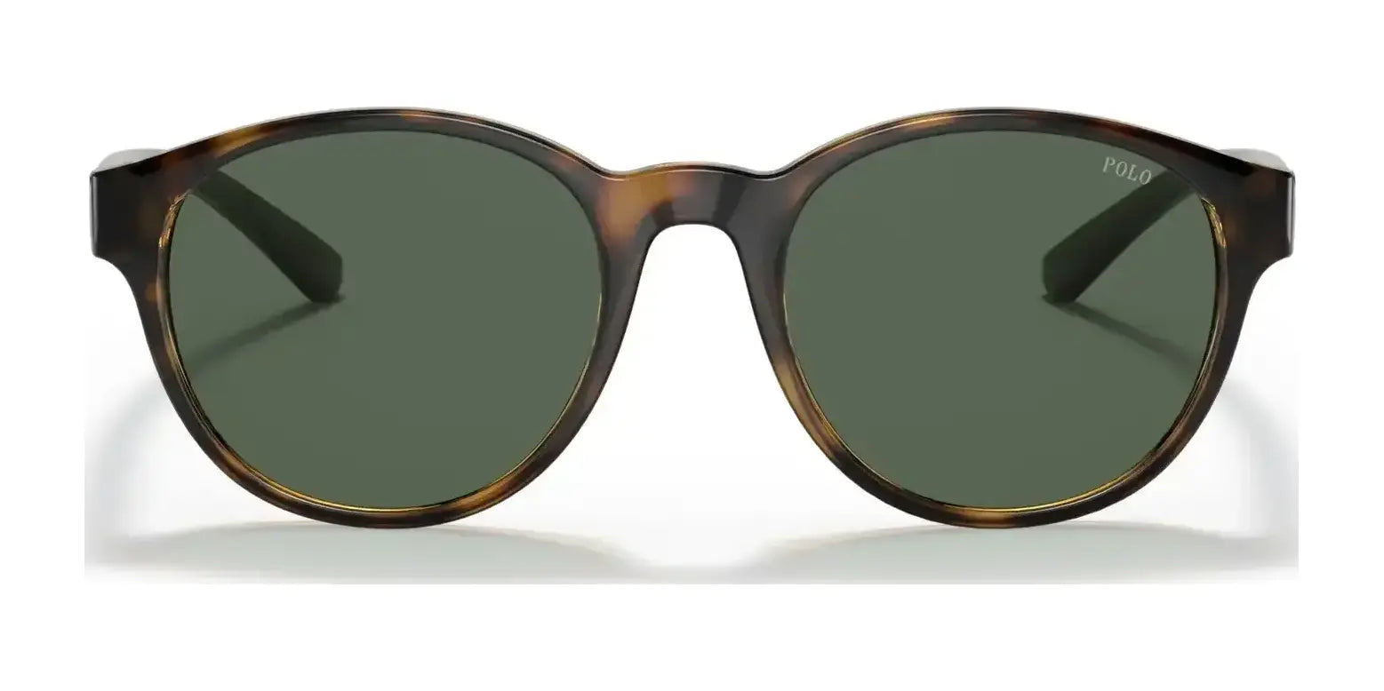 Polo PH4176 Sunglasses | Size 51 Polo PH4176 Sunglasses | Size 51