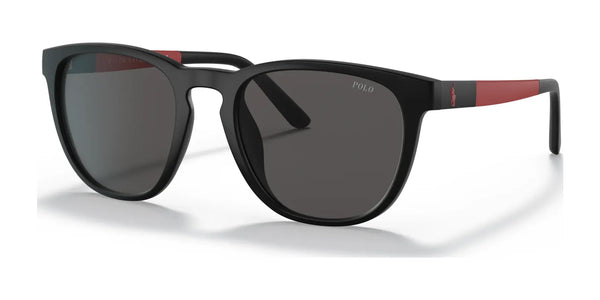 Polo PH4182U Sunglasses | Size 53 / Matte Black №528487 / Dark Grey (3N 9.9%)
