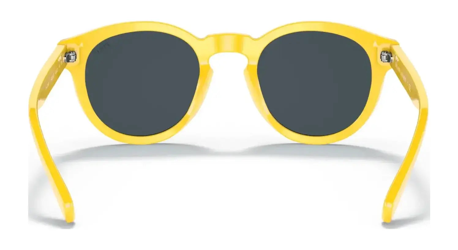 Polo PH4184F Sunglasses | Size 53 Polo PH4184F Sunglasses | Size 53