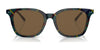 Polo PH4187 Sunglasses | Size 52 / Shiny Black / Grey (3N 11%) №500187