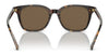Polo PH4187F Sunglasses | Size 53 / Shiny Antique Tortoise №5309/3 / Brown (3N 12%)