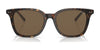 Polo PH4187F Sunglasses | Size 53 / Shiny Antique Tortoise №5309/3 / Brown (3N 12%)