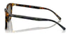 Polo PH4187F Sunglasses | Size 53 / Shiny Antique Tortoise №5309/3 / Brown (3N 12%)