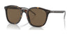 Polo PH4188F Sunglasses | Size 54 / Shiny Dark Havana / Brown (3N 14.5%) №500373