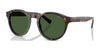 Polo PH4192 Sunglasses | Size 51 / Shiny Dark Havana / Bottle Green (3N 9.7%) №500371