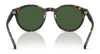 Polo PH4192 Sunglasses | Size 51 / Shiny Dark Green / Light Green (2N 35.1%) №6141/2