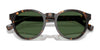 Polo PH4192 Sunglasses | Size 51 / Shiny Dark Green / Light Green (2N 35.1%) №6141/2